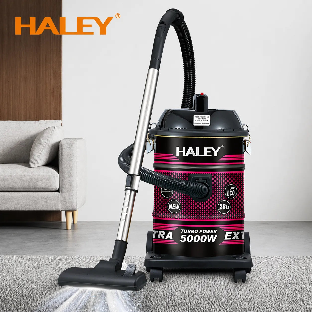 Aspirator HALEY 28L, 5000W, rezervor inox, funcție suflare, accesorii incluse