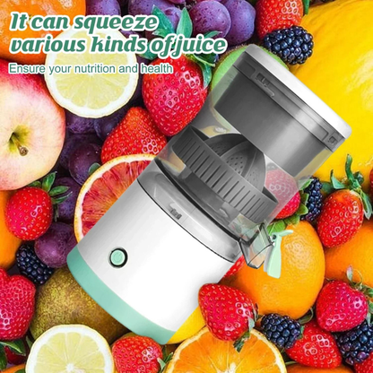 Storcator Pentru fructe Electric