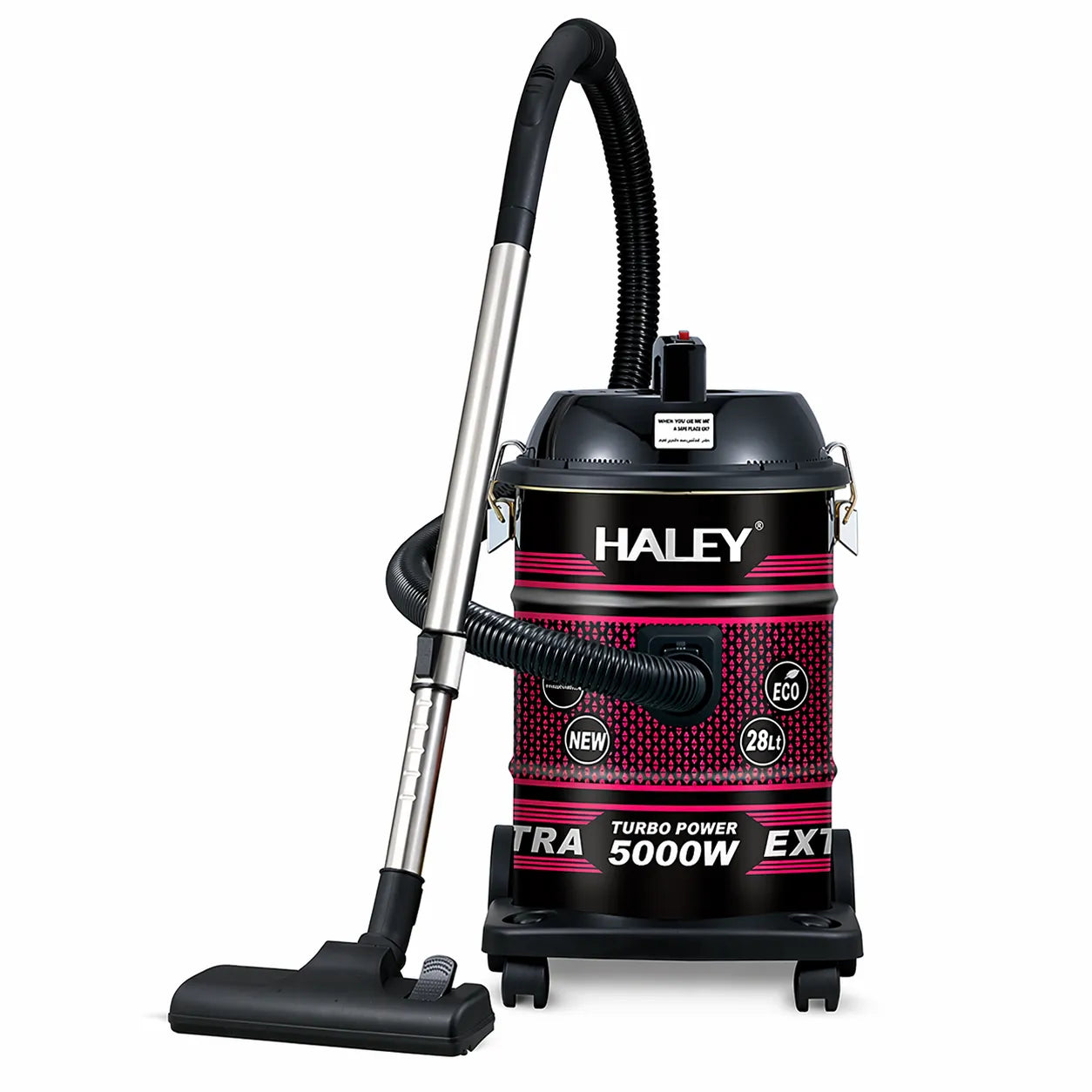 Aspirator HALEY 28L, 5000W, rezervor inox, funcție suflare, accesorii incluse