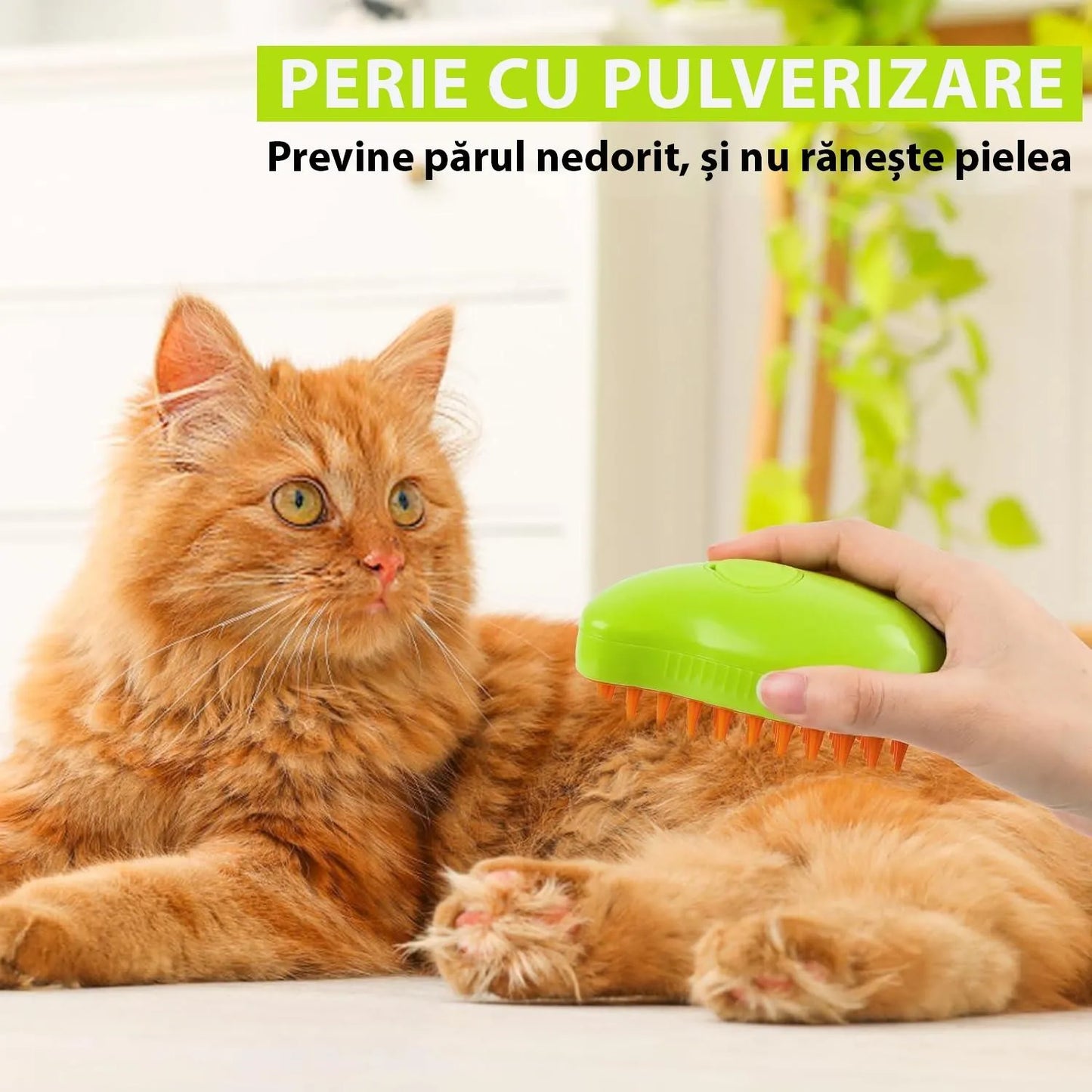Perie 3 în 1 pentru animale de companie, cu aburi, pulverizator și dozator integrat, reîncărcare USB, pentru pisici și câini