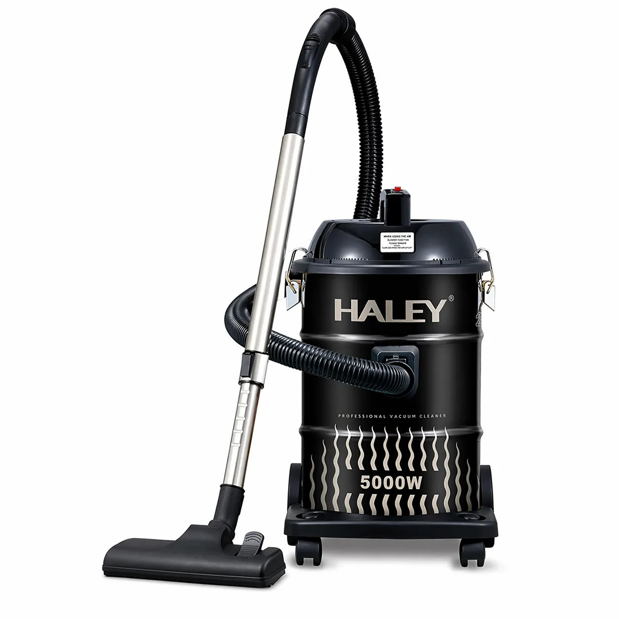 Aspirator HALEY 28L, 5000W, rezervor inox, funcție suflare, accesorii incluse