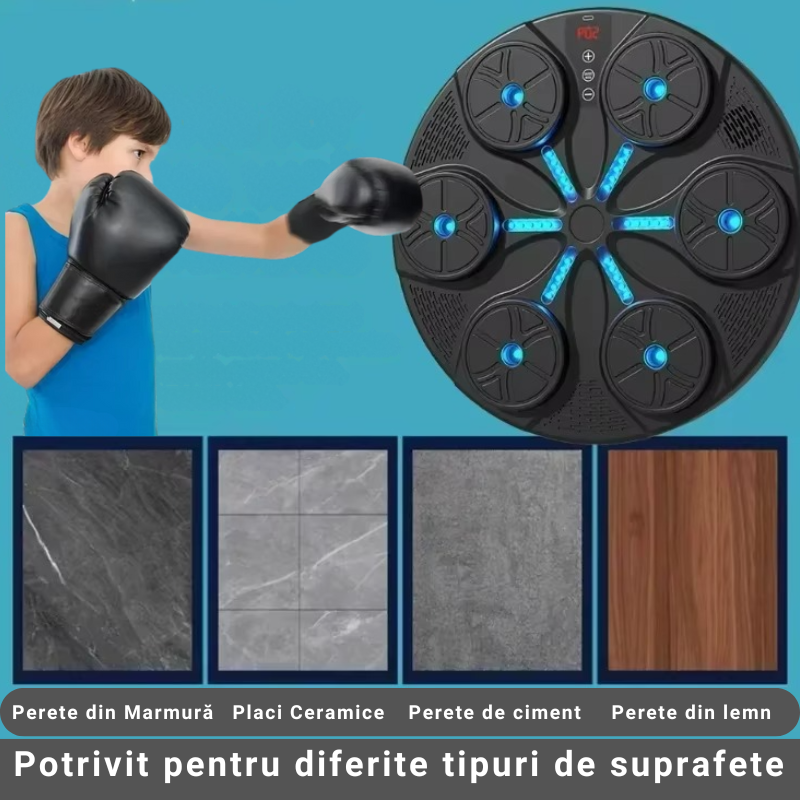Tinta de Lovituri pentru Box