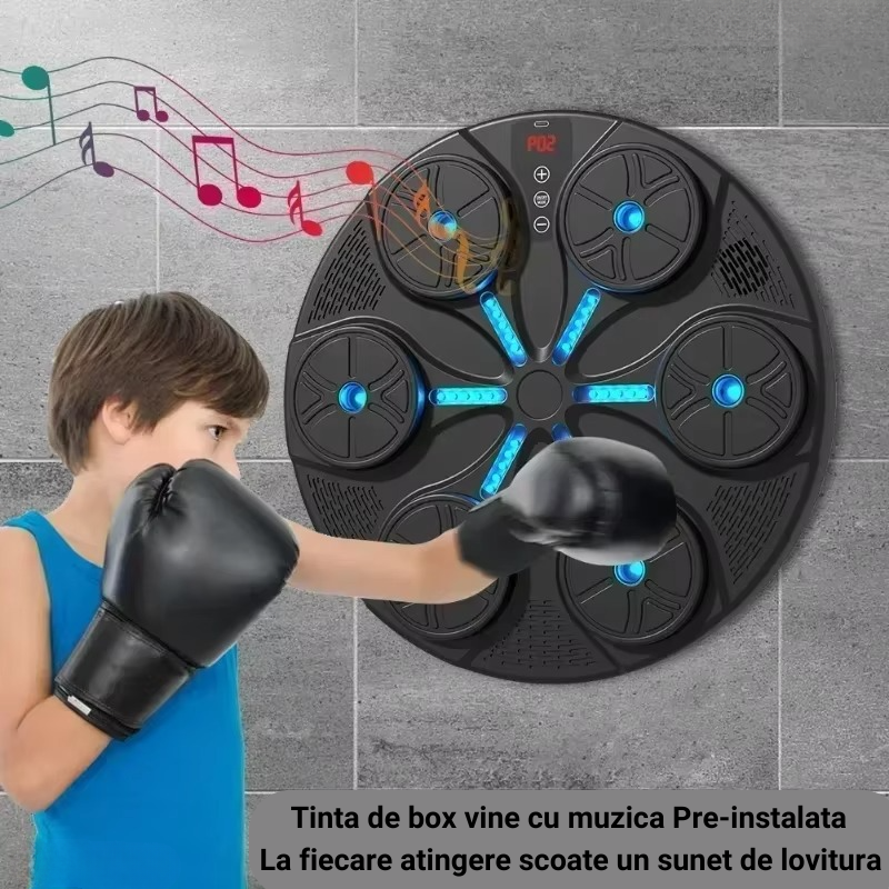 Tinta de Lovituri pentru Box