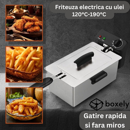 Friteuza Electrica, cu ulei, 4L